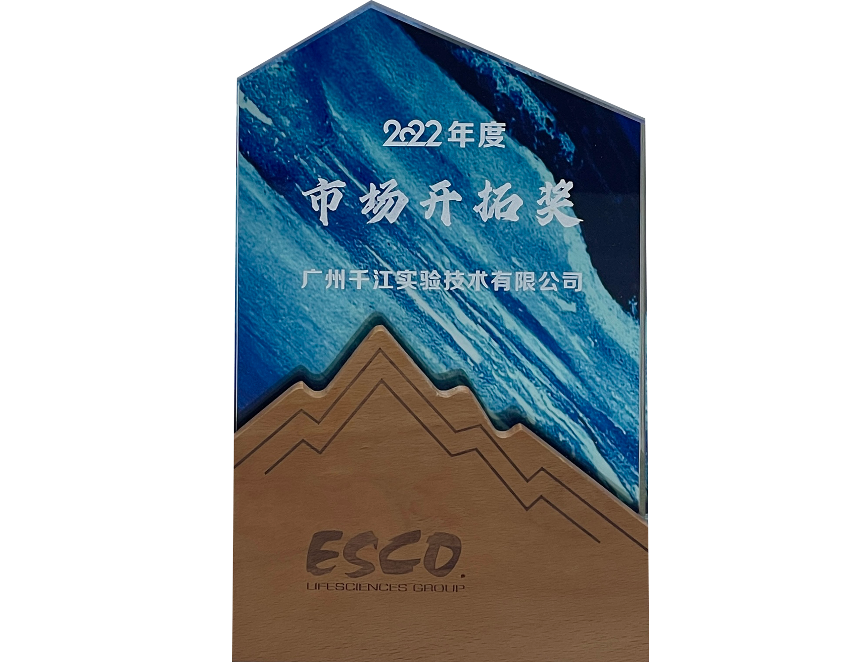 2022年度-ESCO市場開拓獎(jiǎng)